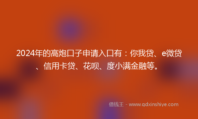 2024年的高炮口子申请入口有：你我贷、e微贷、信用卡贷、花呗、度小满金融等。