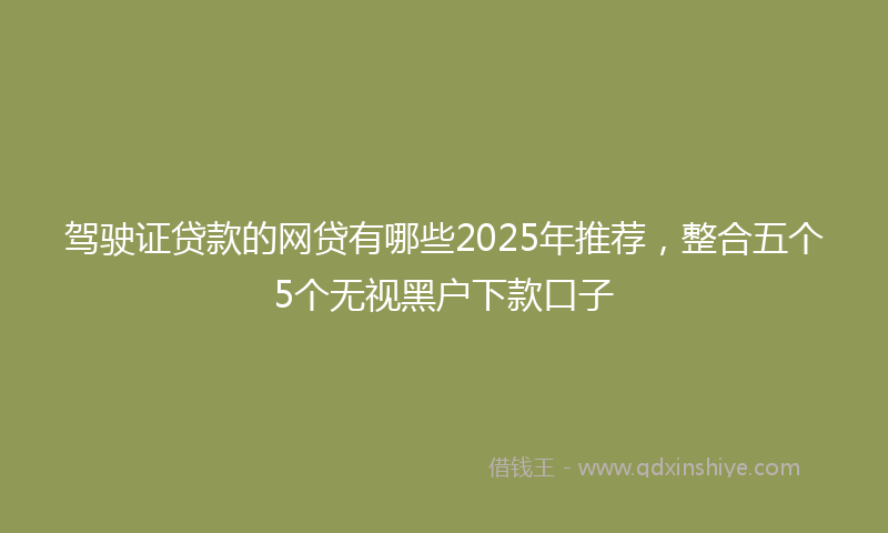 驾驶证贷款的网贷有哪些2025年推荐，整合五个5个无视黑户下款口子