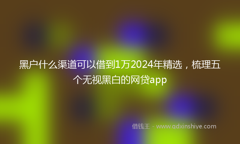 黑户什么渠道可以借到1万2024年精选，梳理五个无视黑白的网贷app