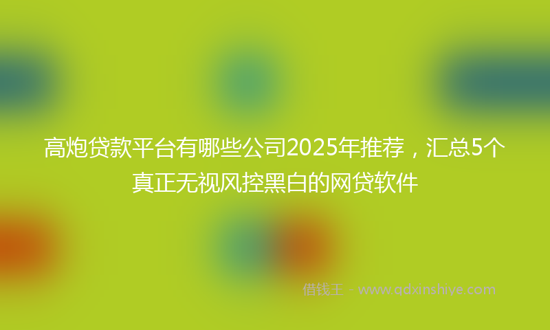 高炮贷款平台有哪些公司2025年推荐，汇总5个真正无视风控黑白的网贷软件