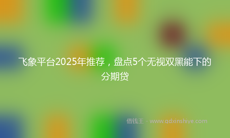 飞象平台2025年推荐，盘点5个无视双黑能下的分期贷