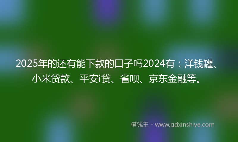 2025年的还有能下款的口子吗2024有：洋钱罐、小米贷款、平安i贷、省呗、京东金融等。