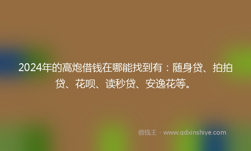 2024年的高炮借钱在哪能找到有：随身贷、拍拍贷、花呗、读秒贷、安逸花等。