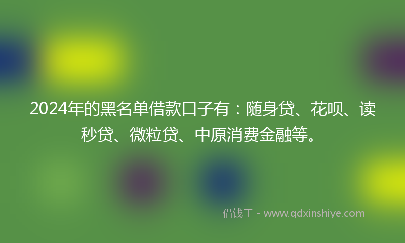 2024年的黑名单借款口子有：随身贷、花呗、读秒贷、微粒贷、中原消费金融等。
