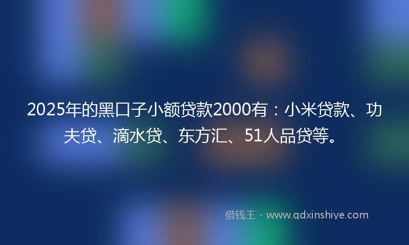 2025年的黑口子小额贷款2000有：小米贷款、功夫贷、滴水贷、东方汇、51人品贷等。