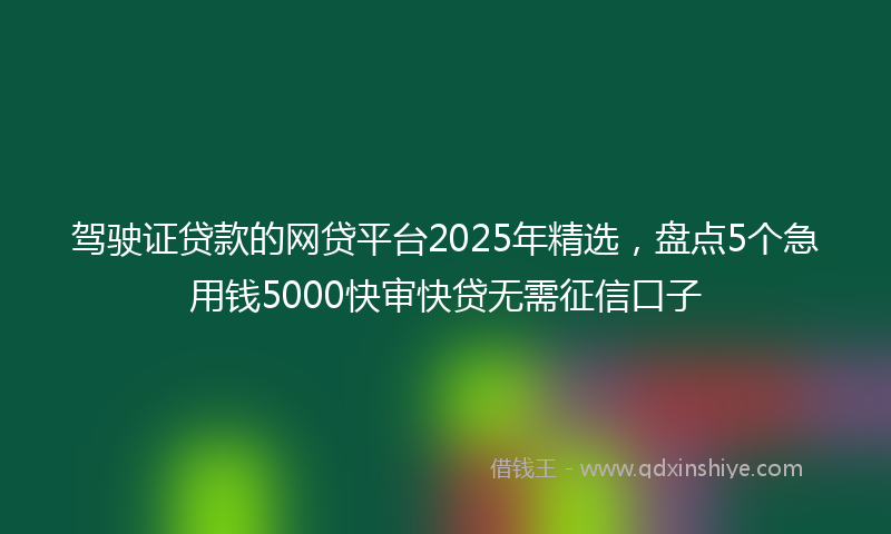 驾驶证贷款的网贷平台2025年精选，盘点5个急用钱5000快审快贷无需征信口子