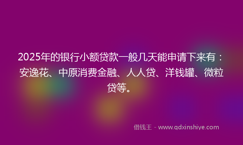 2025年的银行小额贷款一般几天能申请下来有：安逸花、中原消费金融、人人贷、洋钱罐、微粒贷等。