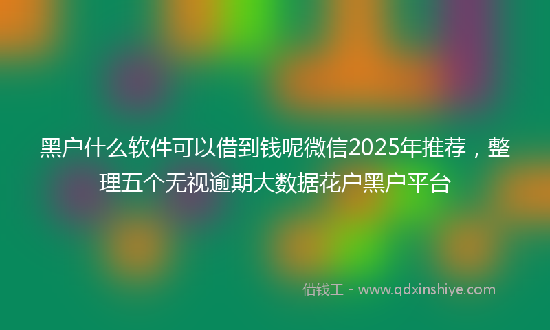 黑户什么软件可以借到钱呢微信2025年推荐，整理五个无视逾期大数据花户黑户平台