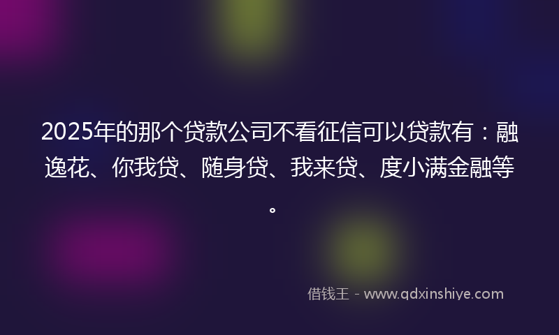 2025年的那个贷款公司不看征信可以贷款有：融逸花、你我贷、随身贷、我来贷、度小满金融等。