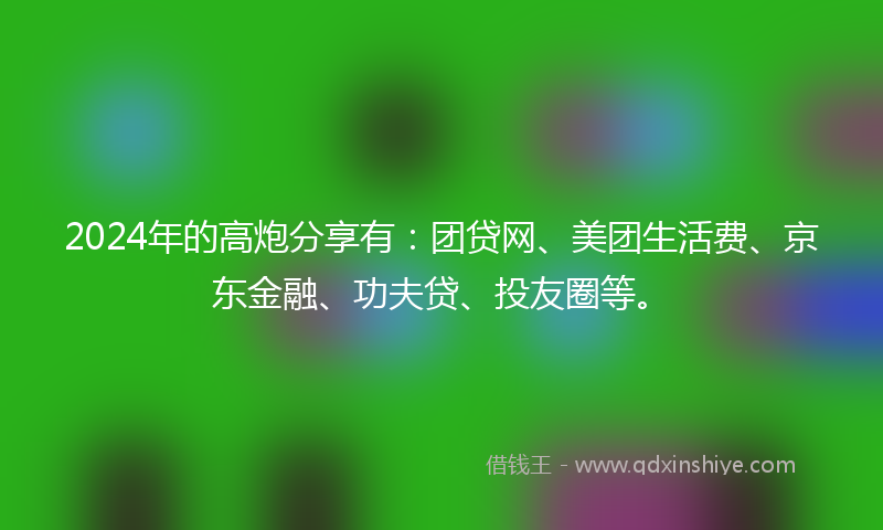 2024年的高炮分享有：团贷网、美团生活费、京东金融、功夫贷、投友圈等。