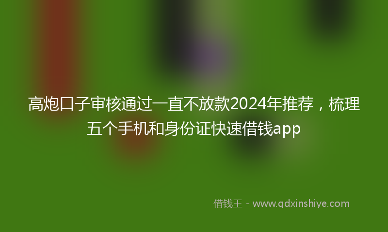 高炮口子审核通过一直不放款2024年推荐，梳理五个手机和身份证快速借钱app