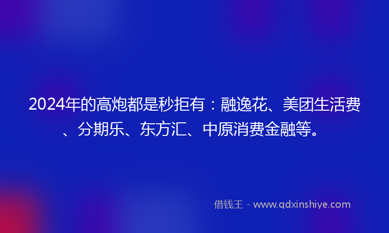 2024年的高炮都是秒拒有：融逸花、美团生活费、分期乐、东方汇、中原消费金融等。