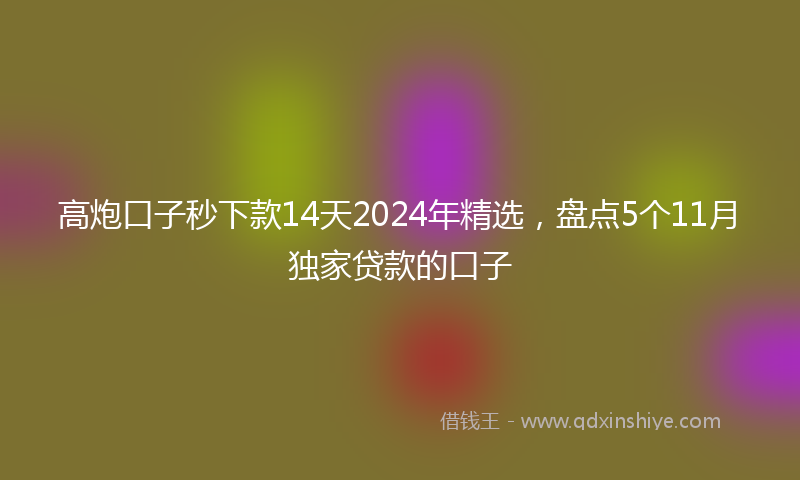 高炮口子秒下款14天2024年精选，盘点5个11月独家贷款的口子