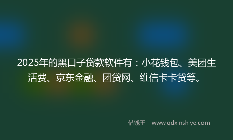 2025年的黑口子贷款软件有：小花钱包、美团生活费、京东金融、团贷网、维信卡卡贷等。