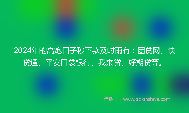 2024年的高炮口子秒下款及时雨有：团贷网、快贷通、平安口袋银行、我来贷、好期贷等。