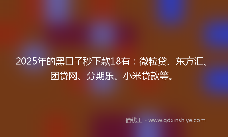 2025年的黑口子秒下款18有：微粒贷、东方汇、团贷网、分期乐、小米贷款等。