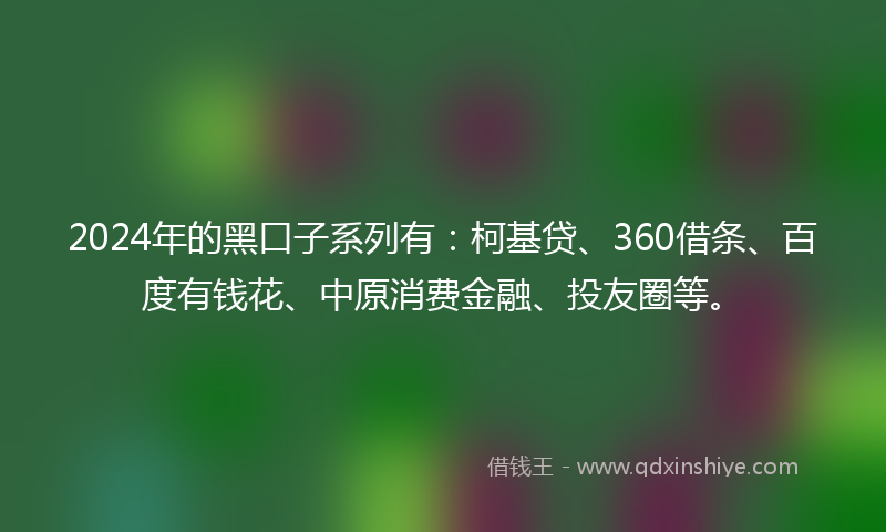 2024年的黑口子系列有：柯基贷、360借条、百度有钱花、中原消费金融、投友圈等。