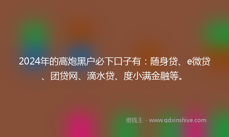 2024年的高炮黑户必下口子有：随身贷、e微贷、团贷网、滴水贷、度小满金融等。