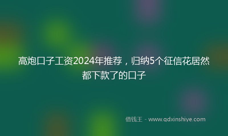高炮口子工资2024年推荐，归纳5个征信花居然都下款了的口子