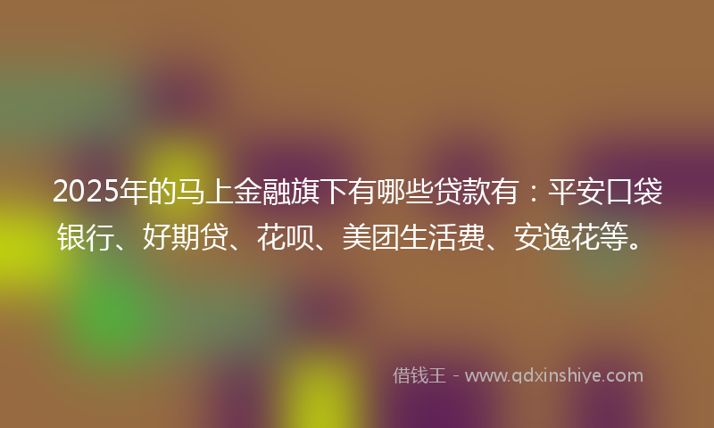 2025年的马上金融旗下有哪些贷款有：平安口袋银行、好期贷、花呗、美团生活费、安逸花等。