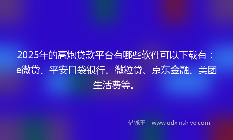 2025年的高炮贷款平台有哪些软件可以下载有：e微贷、平安口袋银行、微粒贷、京东金融、美团生活费等。