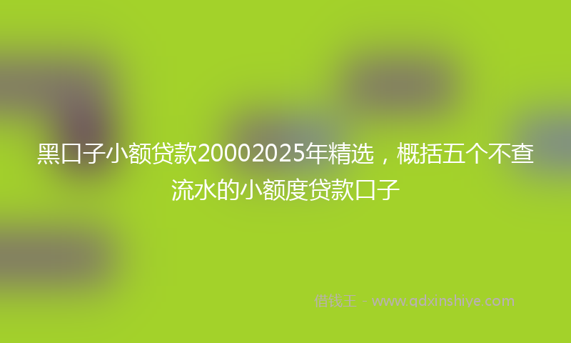 黑口子小额贷款20002025年精选，概括五个不查流水的小额度贷款口子