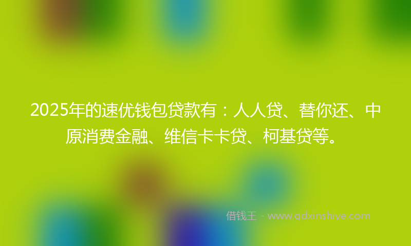 2025年的速优钱包贷款有：人人贷、替你还、中原消费金融、维信卡卡贷、柯基贷等。