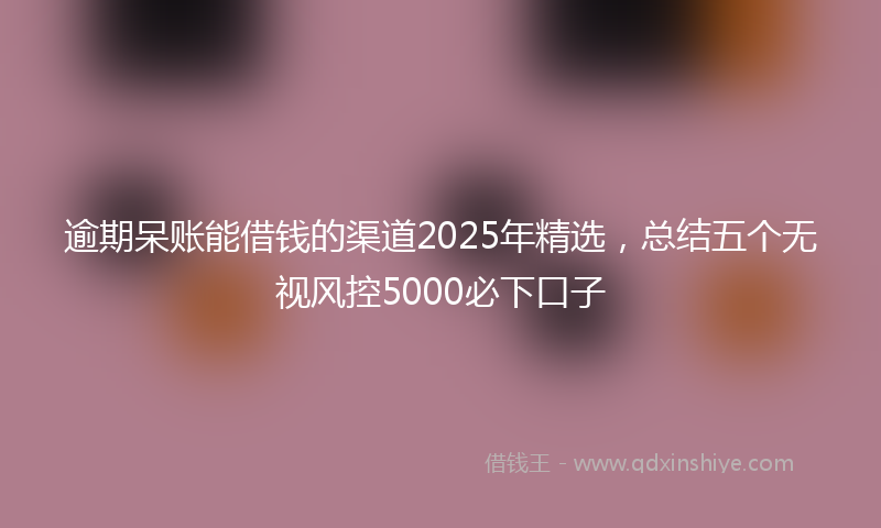 逾期呆账能借钱的渠道2025年精选，总结五个无视风控5000必下口子