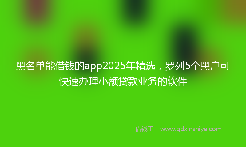 黑名单能借钱的app2025年精选，罗列5个黑户可快速办理小额贷款业务的软件