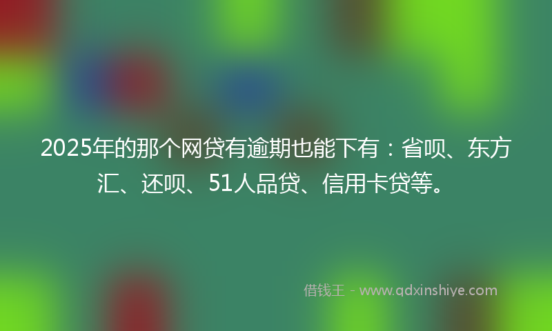 2025年的那个网贷有逾期也能下有：省呗、东方汇、还呗、51人品贷、信用卡贷等。