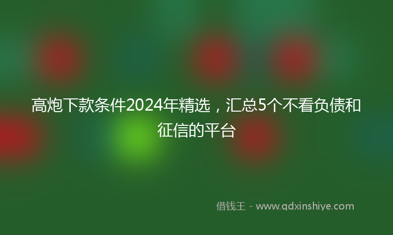高炮下款条件2024年精选，汇总5个不看负债和征信的平台