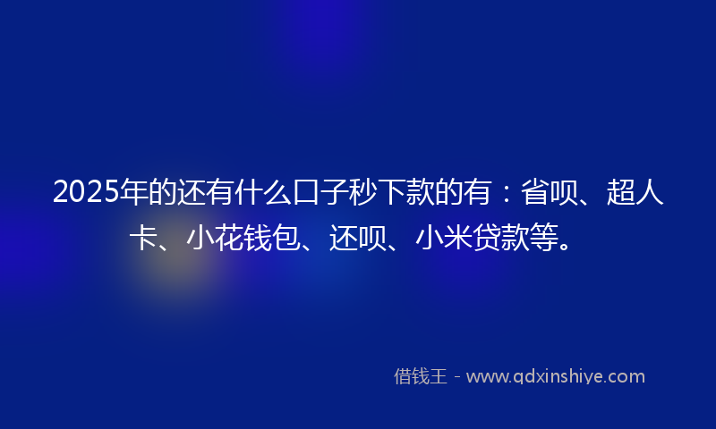 2025年的还有什么口子秒下款的有：省呗、超人卡、小花钱包、还呗、小米贷款等。