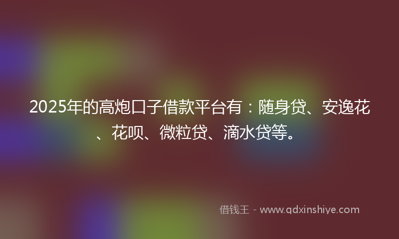 2025年的高炮口子借款平台有：随身贷、安逸花、花呗、微粒贷、滴水贷等。