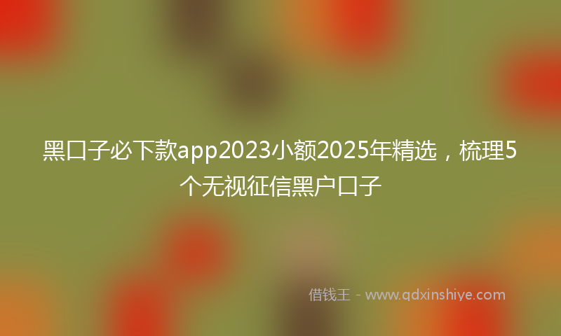 黑口子必下款app2023小额2025年精选，梳理5个无视征信黑户口子