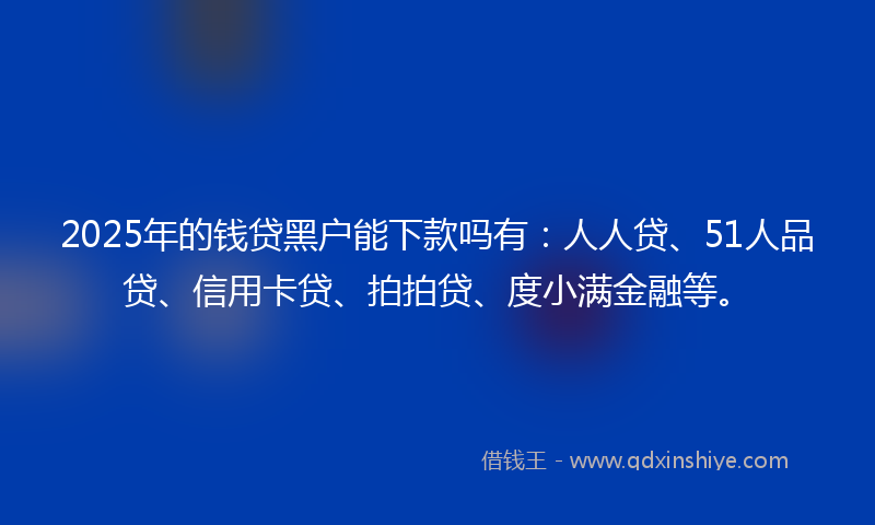 2025年的钱贷黑户能下款吗有：人人贷、51人品贷、信用卡贷、拍拍贷、度小满金融等。