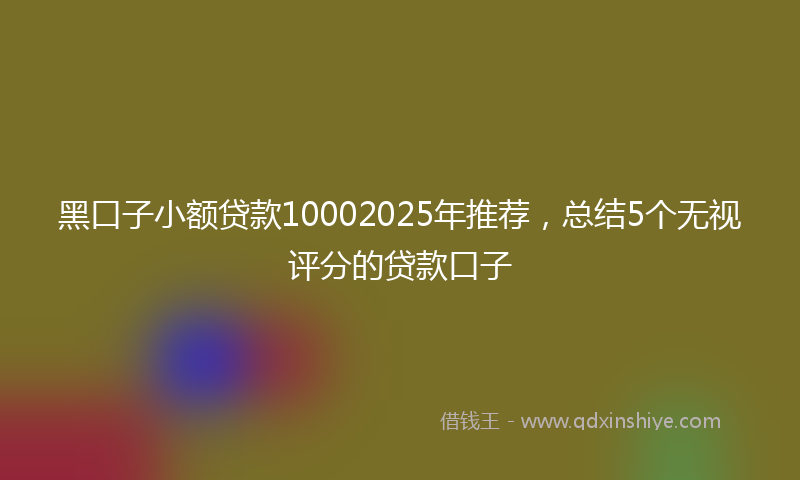 黑口子小额贷款10002025年推荐，总结5个无视评分的贷款口子
