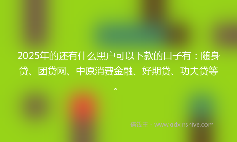 2025年的还有什么黑户可以下款的口子有：随身贷、团贷网、中原消费金融、好期贷、功夫贷等。