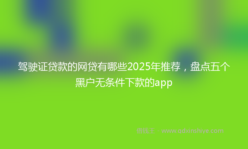 驾驶证贷款的网贷有哪些2025年推荐，盘点五个黑户无条件下款的app
