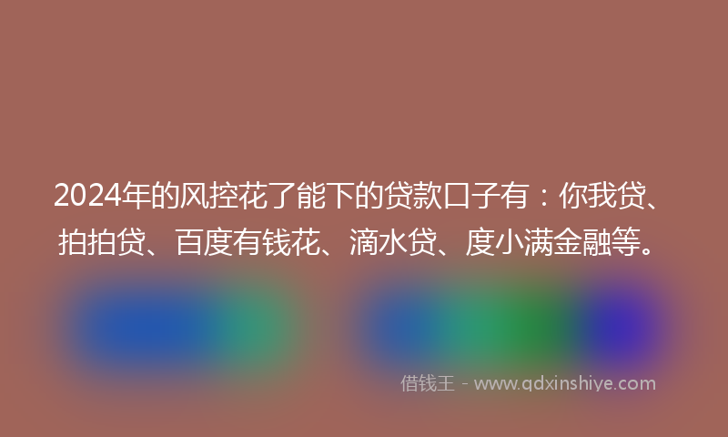2024年的风控花了能下的贷款口子有：你我贷、拍拍贷、百度有钱花、滴水贷、度小满金融等。