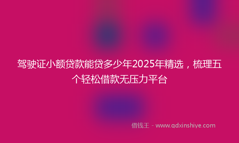 驾驶证小额贷款能贷多少年2025年精选，梳理五个轻松借款无压力平台
