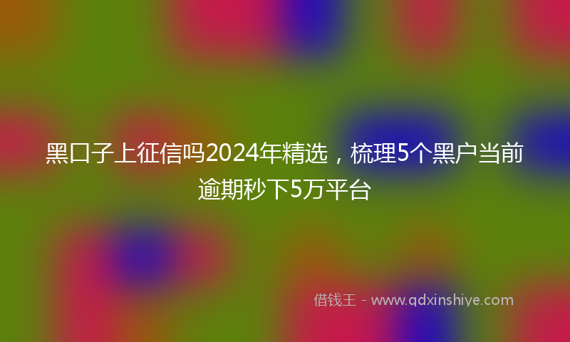 黑口子上征信吗2024年精选，梳理5个黑户当前逾期秒下5万平台