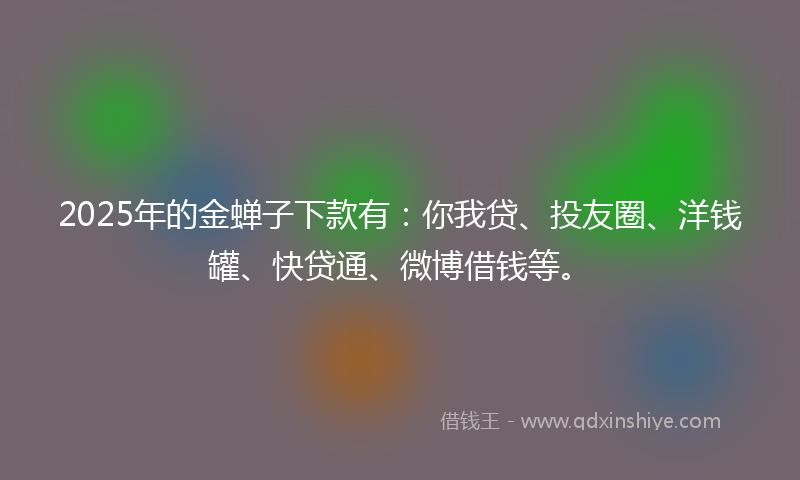 2025年的金蝉子下款有：你我贷、投友圈、洋钱罐、快贷通、微博借钱等。