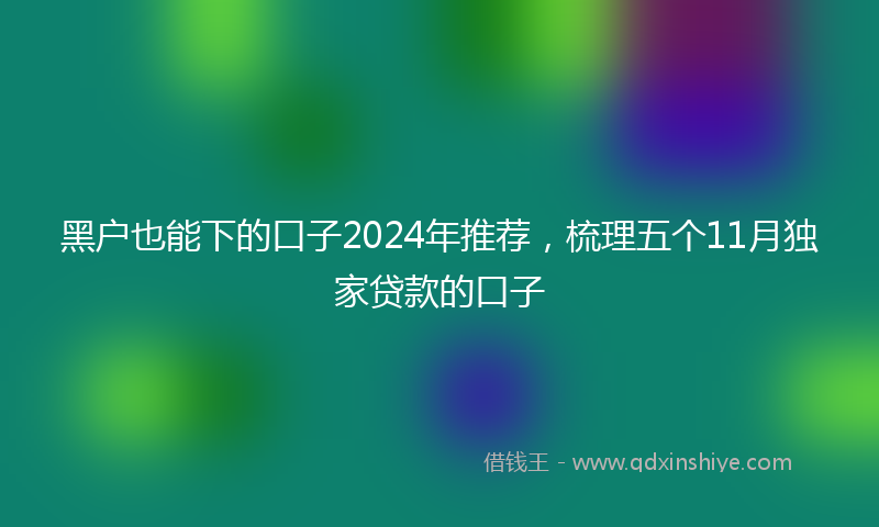 黑户也能下的口子2024年推荐，梳理五个11月独家贷款的口子