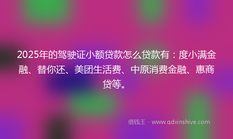 2025年的驾驶证小额贷款怎么贷款有：度小满金融、替你还、美团生活费、中原消费金融、惠商贷等。