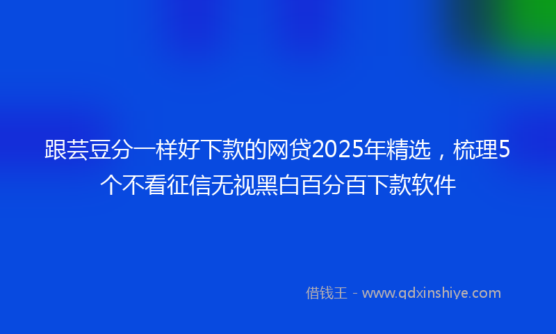 跟芸豆分一样好下款的网贷2025年精选，梳理5个不看征信无视黑白百分百下款软件