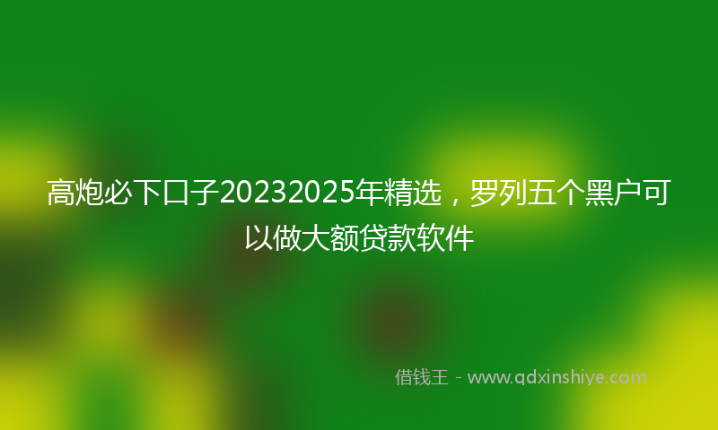 高炮必下口子20232025年精选，罗列五个黑户可以做大额贷款软件