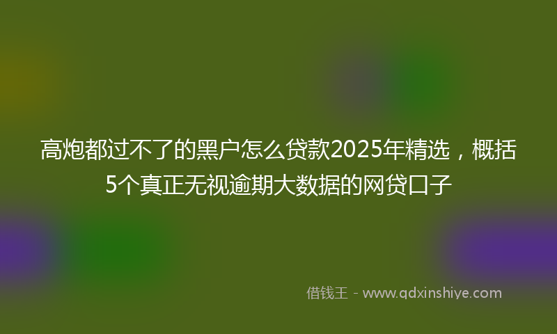 高炮都过不了的黑户怎么贷款2025年精选，概括5个真正无视逾期大数据的网贷口子