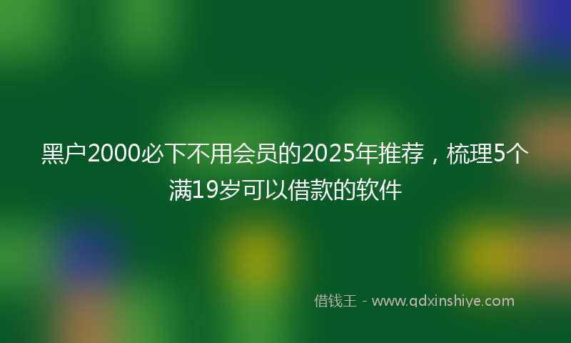 黑户2000必下不用会员的2025年推荐，梳理5个满19岁可以借款的软件