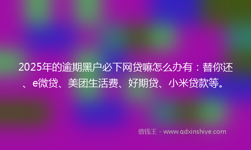 2025年的逾期黑户必下网贷嘛怎么办有：替你还、e微贷、美团生活费、好期贷、小米贷款等。