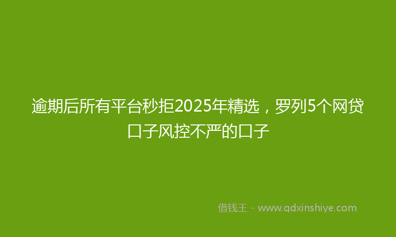 逾期后所有平台秒拒2025年精选，罗列5个网贷口子风控不严的口子